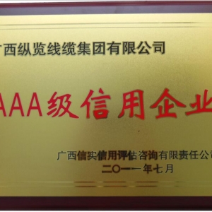 縱覽線纜集團(tuán)公司AAA級信用企業(yè)