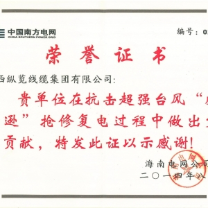 海南電網(wǎng)突出貢獻(xiàn) 獎