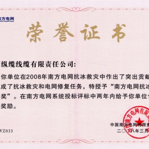 抗冰救災(zāi)突出貢獻(xiàn)獎