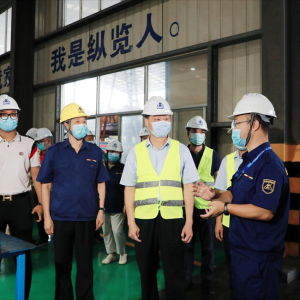 南寧市委常委、常務(wù)副市長陳竑率隊到我司考察指導